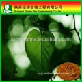 Mulberry Leaf Extract 1-DNJ/Mulberry Leaf Extract Powder